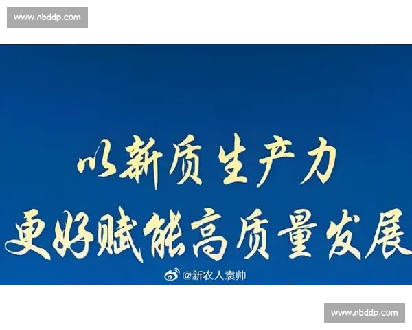 以绝对优势构建核心竞争力驱动高质量发展新格局与长期增长路径